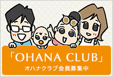 家族はOHANA入会キャンペーン OHANA CLUB入会キャンペーン開催！クイズに答えて家族でハワイへ行こう。