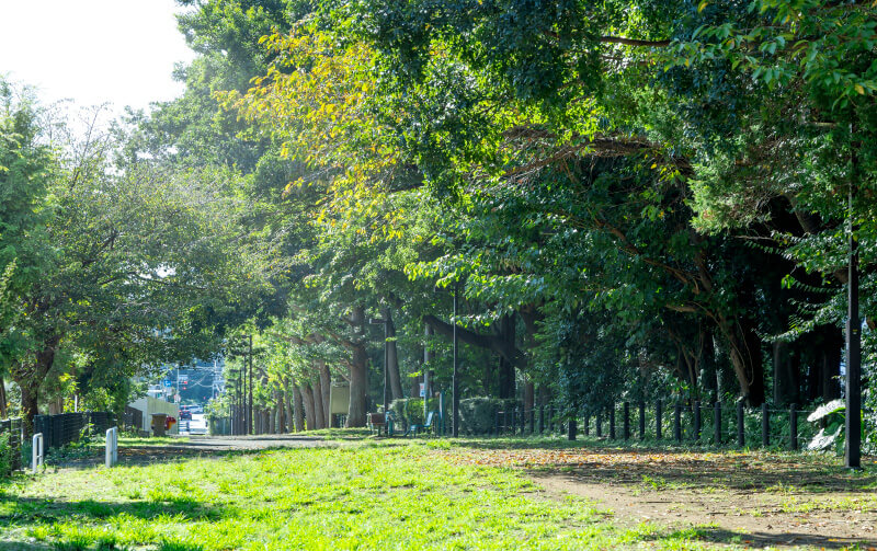 古淵鵜野森公園