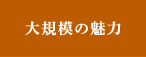 大規模の魅力