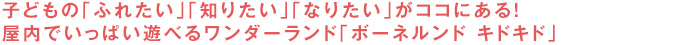 子どもの「ふれたい」「知りたい」「なりたい」がココにある！屋内でいっぱい遊べるワンダーランド「ボーネルンド キドキド」