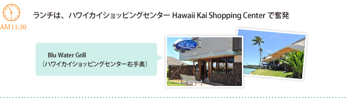 ランチは、ハワイカイショッピングセンターHawaii Kai Shopping Centerで奮発