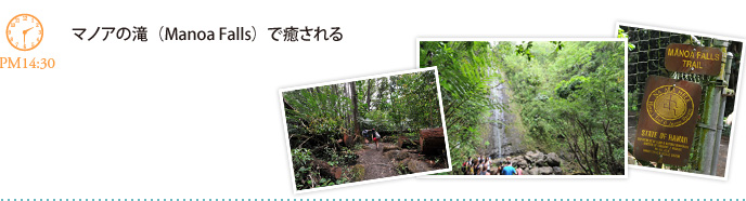 マノアの滝（Manoa Falls）で癒される