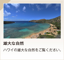 雄大な自然ハワイの雄大な自然をご覧ください。