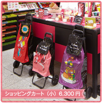 ショッピングカート　（小）　6,300円