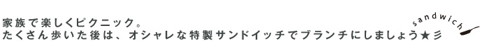 家族で楽しくピクニック。