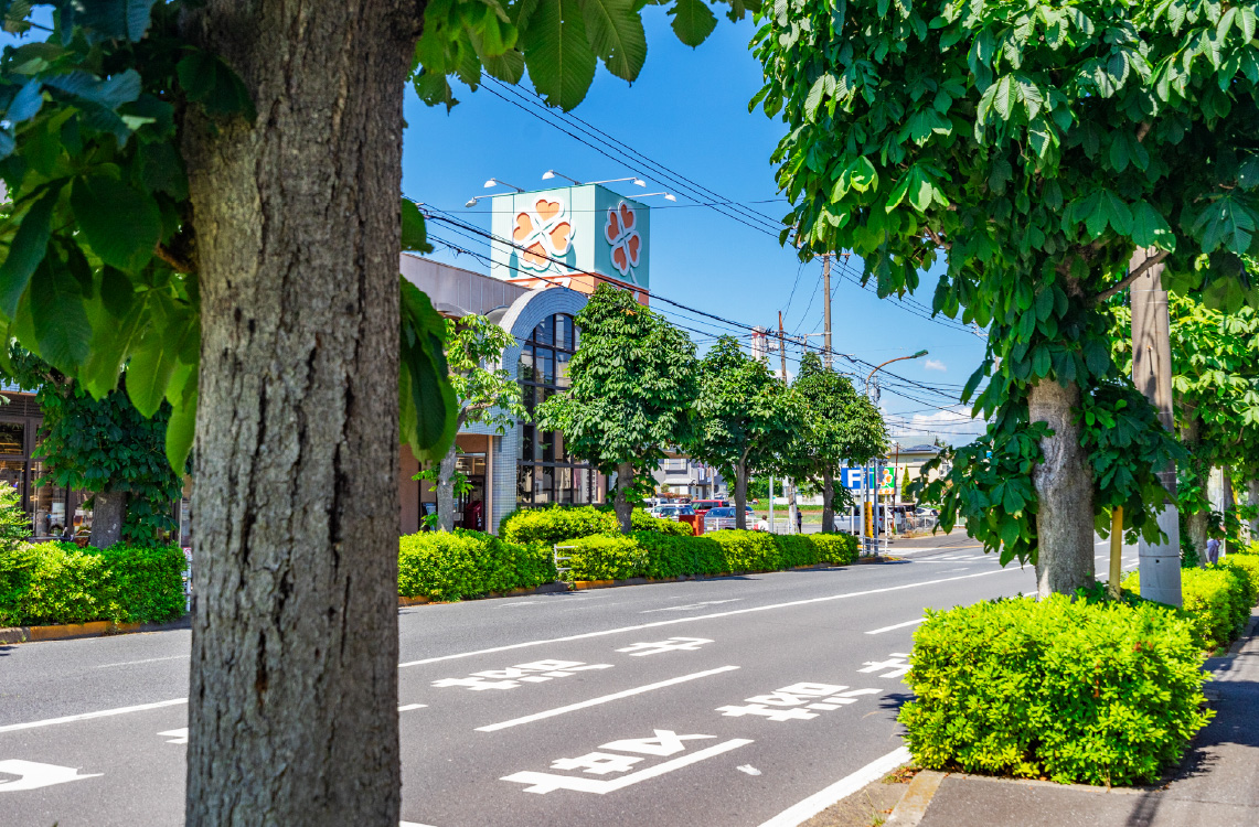 現地周辺の街並み