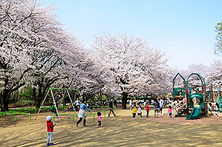 東村山中央公園