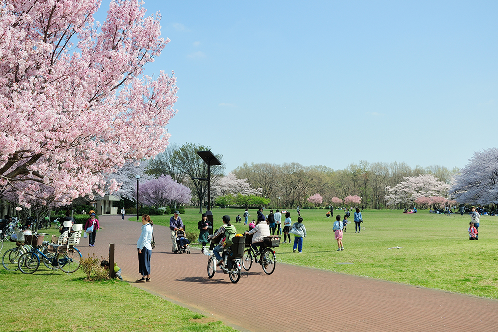 東村山中央公園