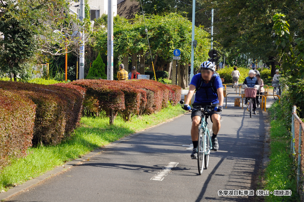 狭山・境緑道（多摩湖自転車道）