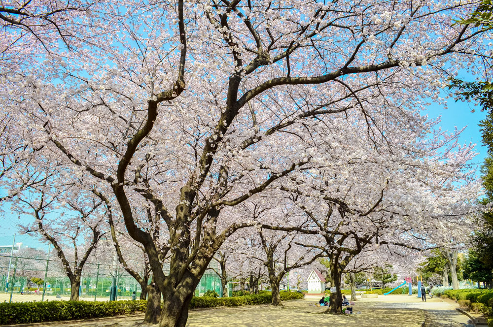 戸塚榎戸公園