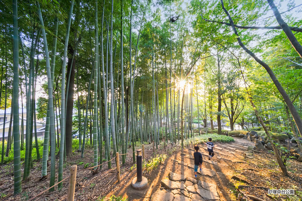 「戸塚中台公園」