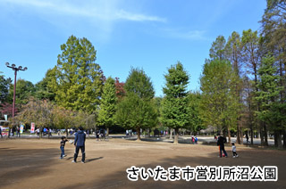 さいたま市営別所沼公園