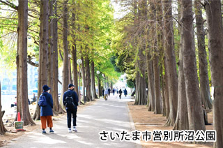 さいたま市営別所沼公園