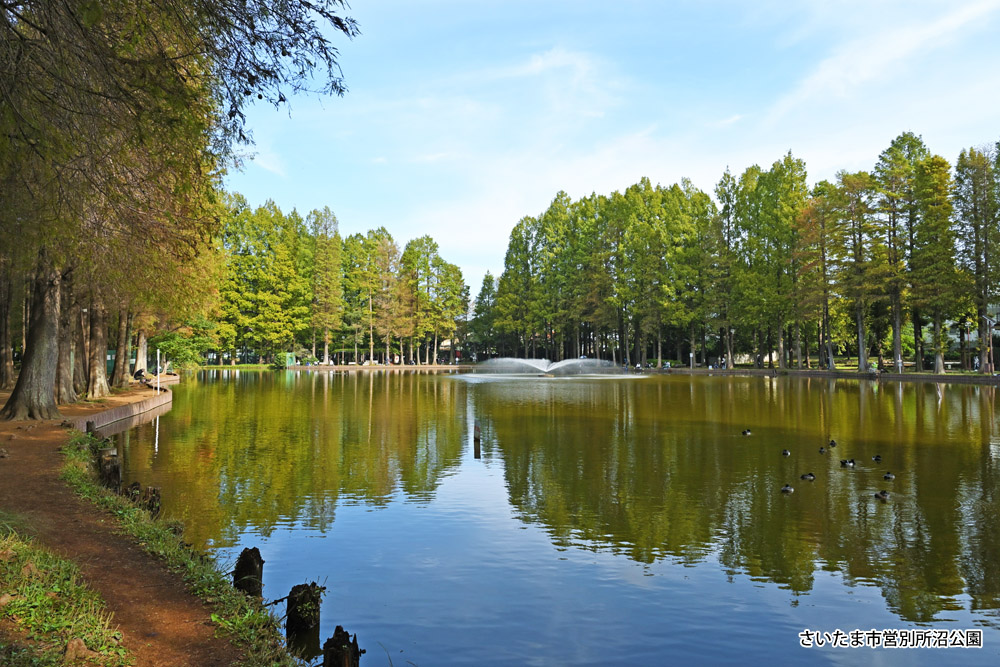 さいたま市営別所沼公園