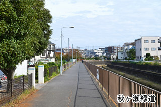秋ヶ瀬緑道
