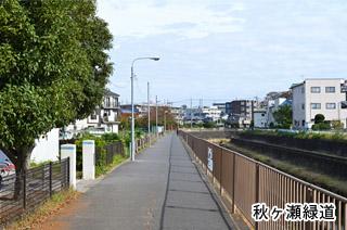 秋ヶ瀬緑道
