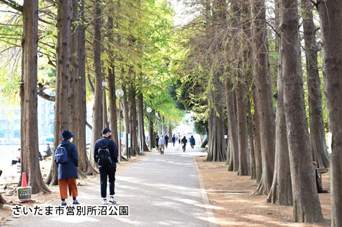 さいたま市営別所沼公園