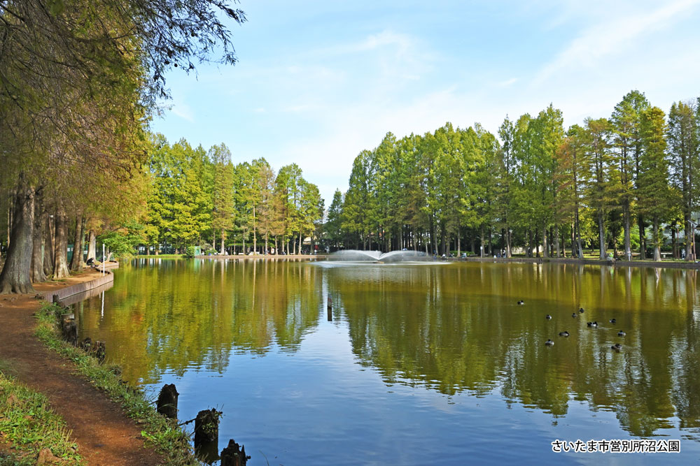 さいたま市営別所沼公園