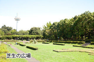 所沢航空記念公園