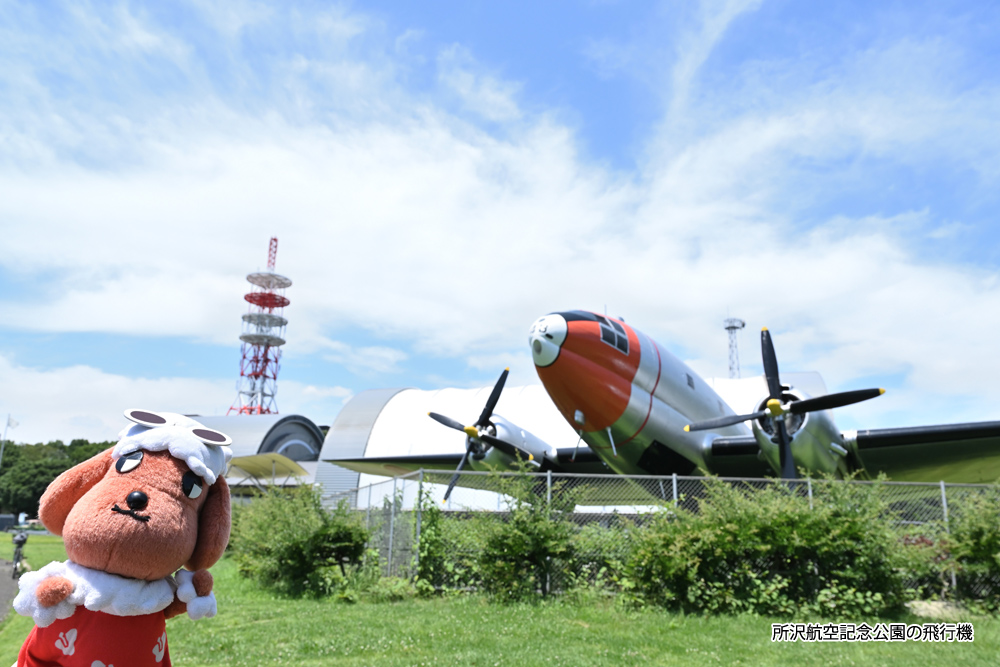 所沢航空記念公園のシンボル、飛行機