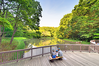 神奈川県立座間谷戸山公園