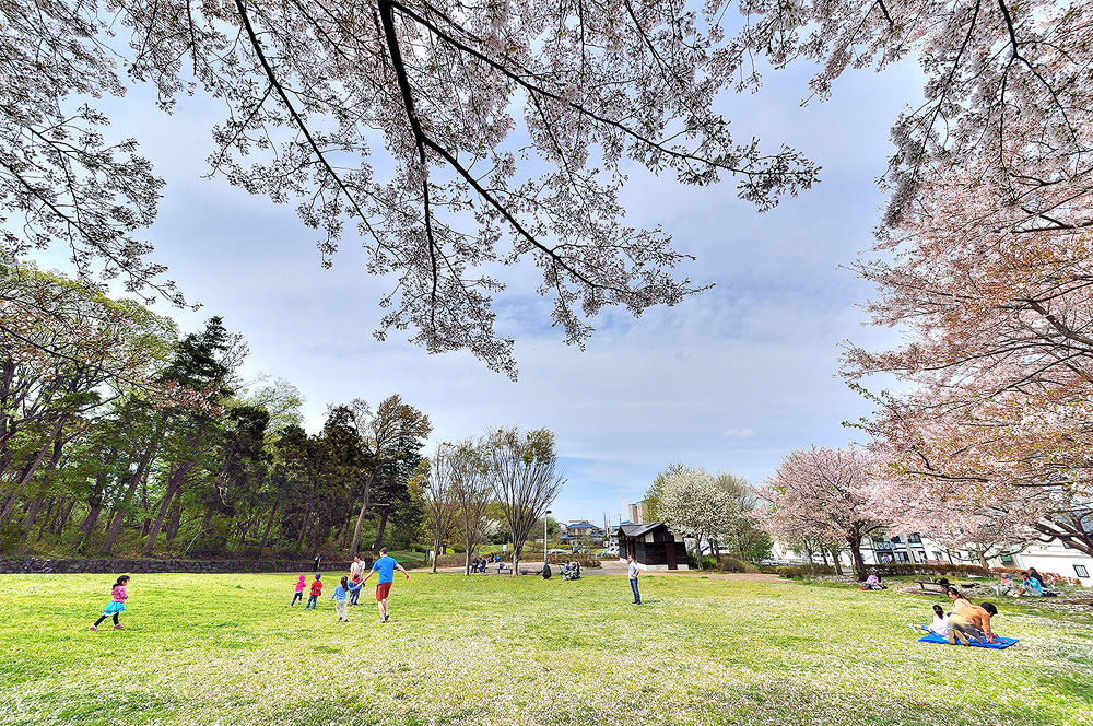 神奈川県立座間谷戸山公園