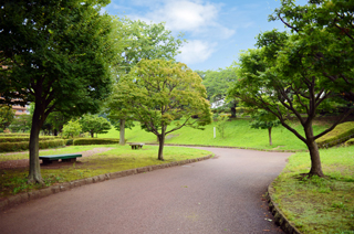 かにが沢公園