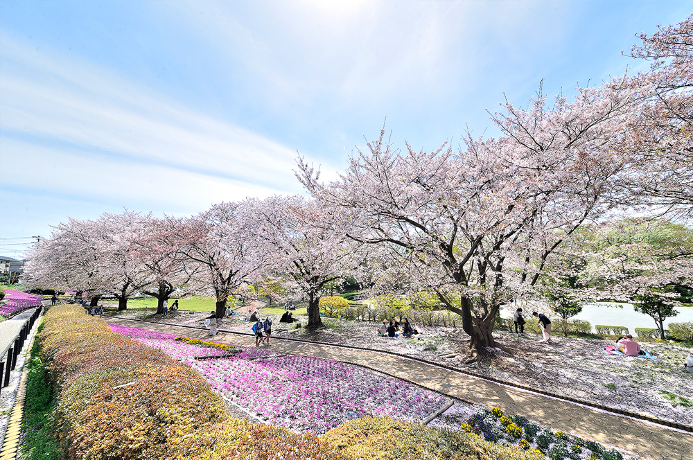 かにが沢公園