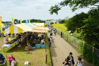 ひまわりまつり 栗原会場