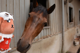 座間近代乗馬クラブ