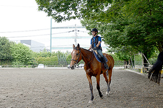 座間近代乗馬クラブ