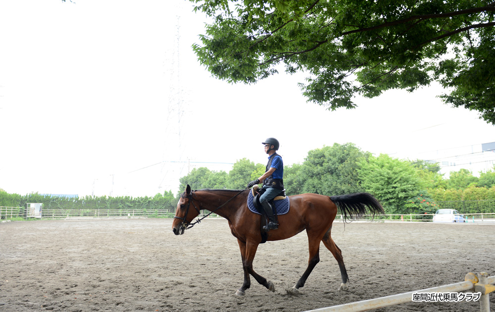 座間近代乗馬クラブ