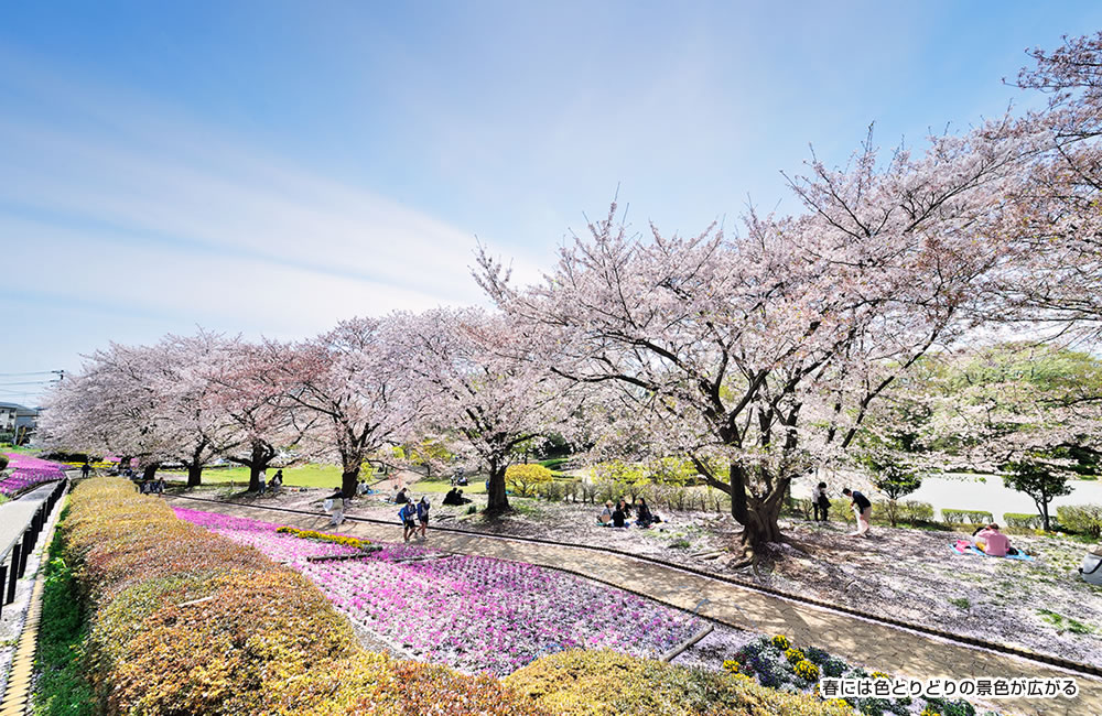 かにが沢公園