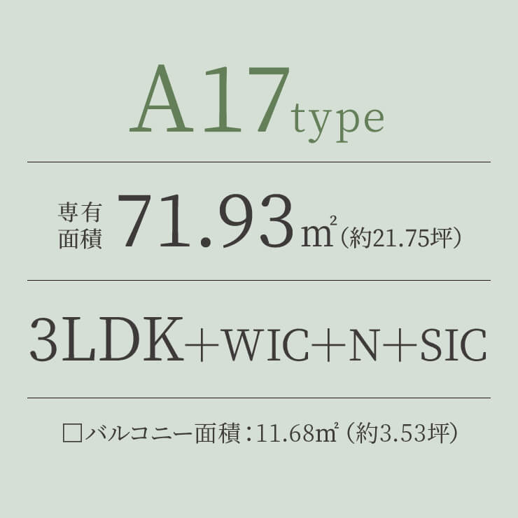 A17 TYPE