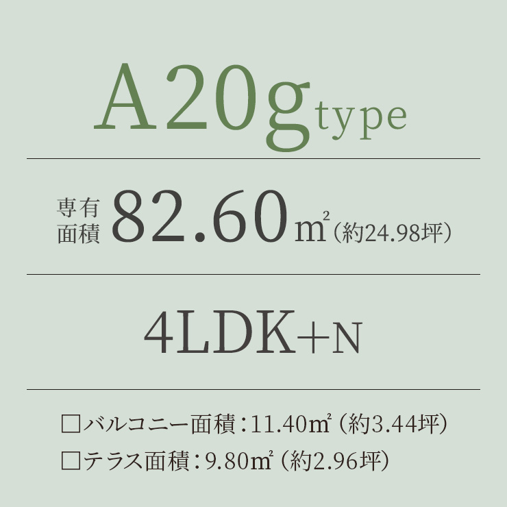 A20g TYPE