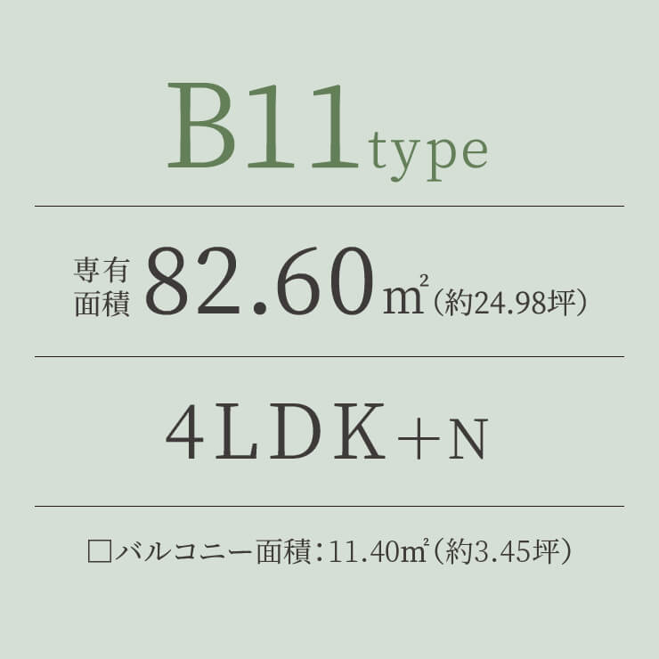 B11 TYPE