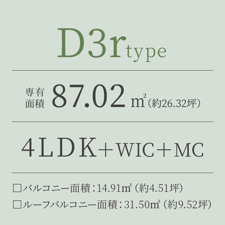 D3r TYPE